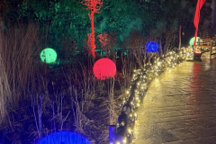 Christmas-Garden-251229-131232-21