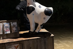 Christmas-Garden-251229-131239-4