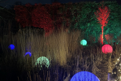 Christmas-Garden-251229-131243-6