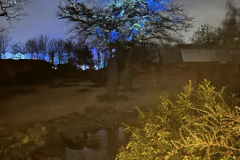 Christmas-Garden-251229-131279-22