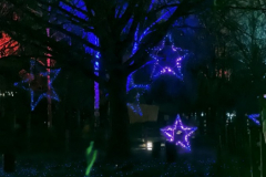 Christmas-Garden-251229-131288-1