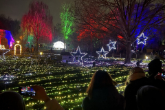 Christmas-Garden-251229-131298-12