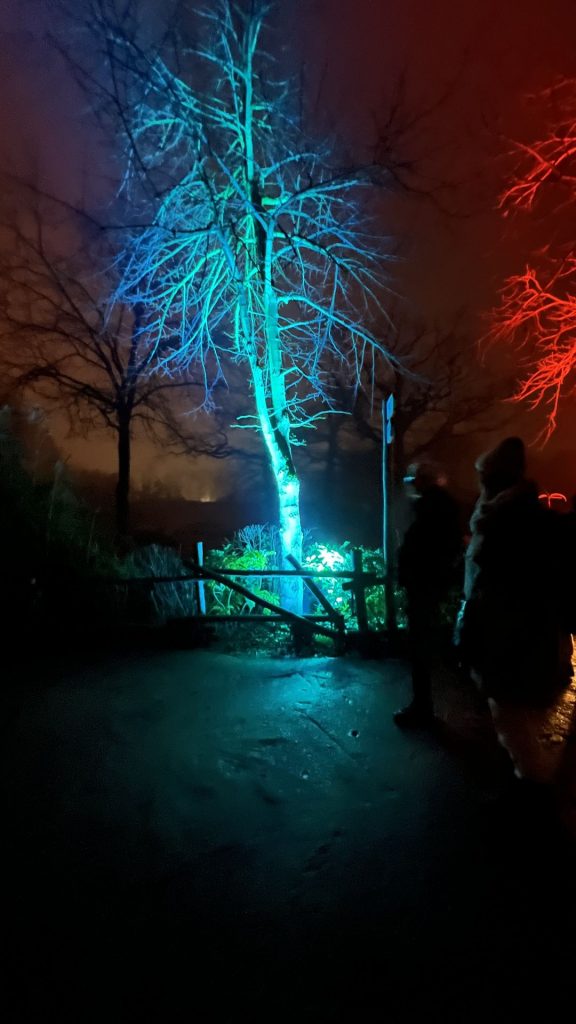 Beleuchtete Installation im Christmas Garden Hannover während des Seglertreff-Abends.